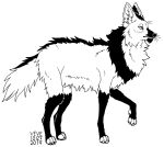  2019 ambiguous_gender back_tuft black_and_white canid canine cheek_tuft chin_tuft claws dated facial_tuft feral half-closed_eyes inktober inner_ear_fluff mammal maned_wolf monochrome narrowed_eyes neck_tuft paws quadruped side_view signature skyelegs solo tuft whiskers 