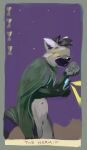  anthro biped black_body black_fur black_hair black_inner_ear black_nose black_tail cape cellphone clothing featureless_crotch fur glistening glistening_nose green_body green_cape green_fur grey_body grey_fur hair hi_res holding_cellphone holding_object holding_phone holding_smartphone male markings multicolored_body multicolored_fur navel oselotti phone portrait short_hair smartphone solo standing striped_markings striped_tail stripes tail_markings three-quarter_portrait white_body white_ears white_fur 