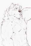  abs absurd_res anthro barrel_(live-a-hero) biceps blush canid canine canis embarrassed fluffy heylaw21 hi_res lifewonders live-a-hero male mammal muscular muscular_anthro navel nipples pecs sketch solo video_games wolf 