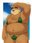  absurd_res anthro bandage belly bikini blush bodily_fluids brown_body brown_fur clothed clothing crossdressing embarrassed eyebrows fupa fur hi_res lifewonders male mammal moobs overweight skimpy skimpy_bikini solo sweat swimwear thick_eyebrows tokyo_afterschool_summoners ursid video_games volos yaki_atsuage 