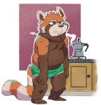  2022 ailurid anthro biped brown_body brown_nose clothing guaxraccoon humanoid_hands male mammal orange_body overweight overweight_male red_panda solo underwear 