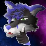  absurd_res anthro canid canine fox furry future hi_res kal kalmarproductions male male/male mammal pose seekers seer solo 