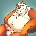  2022 anthro balls belly big_belly erection genitals giant_panda hi_res humanoid_hands korndoggychub male mammal overweight overweight_male penis solo ursid 