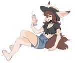  2022 4_toes 5_fingers anthro breasts brown_hair canid canine clothed clothing digital_media_(artwork) eyebrows eyelashes feet female fennec fingers fox hair kaitycuddle mammal sitting smile solo toes 