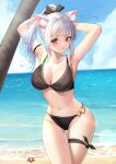  1girl absurdres animal animal_ear_fluff animal_ears arm_strap armpits arms_behind_head arms_up bangs beach bikini bird black_bow blue_hair blue_sky blunt_bangs blush bow breasts cat_ears cleavage cloud collarbone commentary day english_commentary gradient_hair groin hair_bow highres horizon large_breasts long_hair looking_at_viewer multicolored_hair navel o-ring o-ring_bikini ocean original outdoors parted_lips ponytail red_eyes siha sky solo standing starfish stomach swimsuit thigh_gap thigh_strap thighs water wet white_hair 