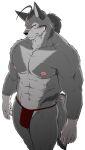  2022 abs anthro asian_clothing athletic athletic_anthro canid canine canis clothed clothing east_asian_clothing fundoshi fur grey_body grey_fur hi_res japanese_clothing looking_at_viewer male mammal morenatsu multicolored_body multicolored_fur muscular muscular_anthro muscular_male nipples red_clothing red_fundoshi red_underwear samoji scar serious_face simple_background solo ten_kodori two_tone_body two_tone_fur underwear underwear_only video_games visual_novel white_background wolf 