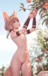 1girl animal_ear_fluff animal_ears armband blonde_hair blurry blurry_background branch breasts commentary cowboy_shot day ear_piercing english_commentary food fruit highres jewelry khiara_(personal_ami) leaf light_smile long_hair looking_away low_twintails navel necklace nipples nude original outdoors peach personal_ami picking_fruit piercing pussy small_breasts solo tail twintails uncensored yellow_eyes 