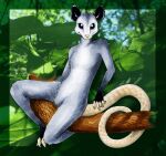  anthro didelphid drink_(artist) looking_at_viewer male mammal marsupial nude plant smile solo tree 