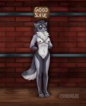  absurd_res anthro brick_wall canid canine cynthiafeline darja_(character) enfield female fluffy fluffy_tail genitals hi_res mammal neck_tuft nipples nude pussy sign slave smile smirk solo submissive submissive_female text tuft wall_(structure) wood_floor 
