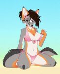  2022 accessory anthro bikini biped black_nose breasts brown_eyes brown_hair canid canine chest_tuft clothed clothing dated digital_media_(artwork) female flower flower_in_hair fluffy fluffy_tail fur gecko-tooth gradient_background grey_body grey_fur hair hair_accessory hi_res inner_ear_fluff jeanne_(furtheist) kneeling looking_at_viewer mammal navel orange_body orange_fur pink_bikini pink_clothing pink_swimwear plant simple_background solo swimwear tuft undressing white_body white_fur 