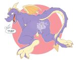  activision anthro anti_dev balls bodily_fluids butt cum cum_inside dragon english_text flaccid genital_fluids genitals hi_res humanoid_genitalia humanoid_penis male penis raised_tail scalie small_wings solo spyro spyro_the_dragon text video_games western_dragon wings 