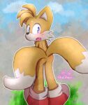  blue_eyes canid canine clothing footwear fox fur grass_field male mammal miles_prower onechan outside sega simple_background solo sonic_the_hedgehog_(series) yellow_body yellow_fur 
