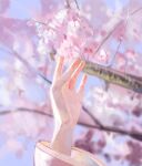  1other blurry blurry_background cherry_blossoms commentary hand_up highres jenmin12 long_sleeves original photorealistic pink_theme realistic solo 