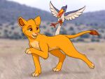  ambiguous_gender avian beak bird blue_body brown_eyes duo eye_contact felid feral flying fur grass_field grassland hi_res lion looking_at_another mammal open_mouth pantherine photo_background raised_leg raised_tail shadow white_body yellow_body yellow_fur 