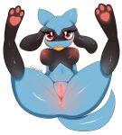  absurd_res anthro anus blue_body blush breasts butt canid canine female genitals hi_res legs_up looking_at_viewer mammal navel nintendo nude pawpads paws pok&eacute;mon pok&eacute;mon_(species) pukemilked pussy red_eyes riolu smile solo spread_legs spreading video_games 
