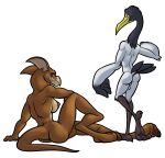 amber_eyes anthro antrofied backsack balls bassybefuddle beak bird_feet breasts butt crane_(disambiguation) crossover don_bluth dreamworks duo feathers female genitals hi_res kung_fu_panda looking_at_viewer male mantrin master_crane nipples nude rear_view red_eyes stith tail_feathers titan_a.e. 