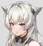  1girl :o animal_ears arknights arknights:_endfield bangs bare_shoulders blue_eyes blush eyebrows_visible_through_hair grey_background hair_intakes heart heart-shaped_pupils long_hair open_mouth perlica_(arknights) portrait pota_douzhi silver_hair simple_background sleeveless symbol-shaped_pupils 