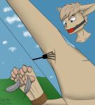  anthro basitin bdsm bondage bound claws feathers gag hi_res knil_(character) male paws rope solo tickling tickling_armpits tickling_feet torture twokinds webcomic zen_allen 