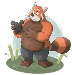  2022 4_fingers ailurid anthro bamboo belly big_belly black_nose bottomwear brown_body clothing fingers hi_res humanoid_hands lumdumgum male mammal orange_body overweight overweight_male pants red_panda solo 