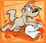  anthro balls black_nose genitals humanoid_genitalia humanoid_penis macropod male mammal marsupial nickelodeon nude orange_background penis pillow rocko&#039;s_modern_life rocko_rama simple_background solo the-alfie-incorporated tongue tongue_out wallaby 