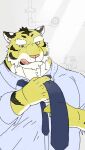  2015 anthro biped clothing dressing felid hodol humanoid_hands kemono male mammal necktie overweight overweight_male pantherine pink_nose shirt solo tiger tongue tongue_out topwear yellow_body 