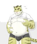  2014 anthro belly big_belly biped bulge clothed clothing clothing_lift felid hodol humanoid_hands kemono male mammal moobs navel nipples overweight overweight_male pantherine pink_nose shirt shirt_lift solo tiger topwear unavailable_at_source underwear 