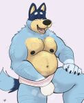  anthro australian_cattle_dog ball_grab balls bandit_heeler big_breasts blue_body blue_fur bluey_(series) bodily_fluids breasts canid canine canis cattledog clothing domestic_dog fur genitals grope hair herding_dog hi_res jockstrap male mammal musclegut muscular muscular_male musk musk_clouds pastoral_dog pecs simple_background skippysbonezone smile solo sweat underwear 