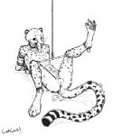  anthro bodily_fluids cheetah cum cum_from_ass cum_in_ass cum_inside cum_on_tail felid feline genital_fluids hi_res male mammal rope solo titusw 