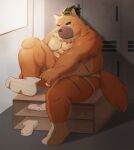  2022 absurd_res anthro arkross1999 belly big_belly black_nose brown_body bulge canid canine canis clothing cute_fangs detailed_background domestic_dog feet footwear hi_res humanoid_hands jockstrap kemono locker_room male mammal overweight overweight_male sitting socks solo underwear 