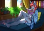  anthro balls book calm canid canine canis clothed clothing furniture genitals hi_res holding_object male mammal michikochan pinup pose reading reading_book solo wolf 