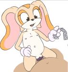  anthro clothing condom cowgirl_position cream_the_rabbit duo female flat_chested from_front_position genitals gloves handwear hi_res holding_object human lagomorph leporid male male/female mammal nude on_bottom on_top penetration penis punishedgen pussy rabbit sega sex sexual_barrier_device sonic_the_hedgehog_(series) 