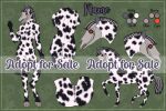  adopt adoptable anthro appaloosa bone dream_merchant equid equine female feral fur horse mammal mask skull skull_head skull_mask skullgirls solo spots spotted_body spotted_fur video_games 