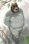  2022 anthro armor belly big_belly black_nose bottomwear brown_body canid canine clothing hard_hat headgear helmet kemono leoponleopon male mammal outside overweight overweight_male pants plant raccoon_dog shirt solo tanuki topwear tree 