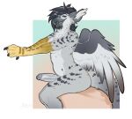  anthro avian beak biped black_claws black_hair blue_eyes breasts cheek_tuft chest_tuft claws erection eyelashes facial_tuft feathered_wings feathers genitals glans gloves_(marking) grey_breasts grey_ears grey_glans grey_inner_ear_fluff grey_penis grey_tail grey_wings gynomorph hair half-closed_eyes humanoid_genitalia humanoid_penis inner_ear_fluff intersex looking_at_viewer markings narrowed_eyes non-mammal_breasts open_mouth penis pupbii red_tongue shadow side_view signature simple_background sitting solo spots spotted_body tongue tuft wings yellow_body 
