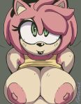  absurd_res amy_rose anthro areola big_breasts breasts clothed clothing eulipotyphlan female hair hedgehog hi_res mammal nipples pink_hair raised_clothing raised_shirt raised_topwear ramdoctor sega shirt solo sonic_the_hedgehog_(series) topwear 