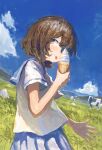  1girl :p bangs black_eyes blue_sailor_collar blue_skirt brown_hair cloud cloudy_sky commentary cow cowboy_shot day fjsmu food grass hair_over_one_eye highres holding horizon ice_cream light_blush looking_at_viewer mountain nature one_eye_covered original outdoors outstretched_hand pleated_skirt sailor_collar shirt short_hair skirt sky smile solo sunlight tongue tongue_out white_shirt 