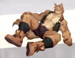  1boy abs absurdres animal_ears bara black_male_underwear blue_eyes boots boxers brown_fur bulge dog_boy dog_ears dog_tail full_body furry highres large_pectorals male_focus male_underwear muscular muscular_male neilos nipples no_pants original pectorals socks solo spread_legs stomach tail thick_thighs thighs underwear 