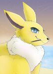  absurd_res ambiguous_gender blue_eyes canid canine eeveelution eyelashes fluffy hi_res jolteon mammal nintendo parooty pok&eacute;mon pok&eacute;mon_(species) pokies sea shooting_star smile smiling_at_viewer solo sunset video_games water 