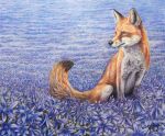  ambiguous_gender black_nose black_tail_tip blue_flower canid canine detailed_background dipstick_tail feral flower fluffy fluffy_tail fox fur mammal markings multicolored_body multicolored_fur no_sclera orange_body orange_fur outside plant quadruped red_fox schiraki signature sitting solo tail_markings traditional_media_(artwork) white_body white_fur 