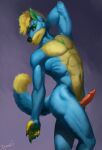  2022 animal_genitalia animal_penis anthro athletic athletic_anthro athletic_male blonde_hair blue_body blue_fur canid canine canis coyote dimonis erection fur genitals green_ears hair hi_res knot male mammal multicolored_body nude penis pinup pose purple_eyes signature simple_background smile solo watermark yellow_body yellow_fur 