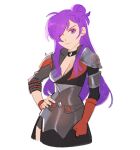  1girl armor asymmetrical_clothes bangs breasts cleavage fire_emblem fire_emblem:_three_houses fire_emblem_warriors fire_emblem_warriors:_three_hopes gloves hair_bun hair_over_one_eye highres large_breasts lilyglazed long_hair looking_at_viewer purple_eyes purple_hair shez_(fire_emblem) shez_(fire_emblem)_(female) single_glove smile solo 