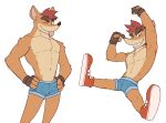  activision anthro bandicoot bottomwear clothing crash_bandicoot crash_bandicoot_(series) fingerless_gloves footwear gloves grin handwear hi_res hotpants jrjresq male mammal marsupial multiple_poses muscular muscular_male one_eye_closed pecs pose shirtless shoes shorts simple_background smile solo tongue video_games wink 