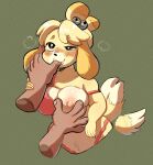  animal_crossing anthro blush breasts canid canine canis disembodied_hand domestic_dog female fur hair hi_res isabelle_(animal_crossing) jonky mammal nintendo shih_tzu toy_dog video_games yellow_body yellow_fur 
