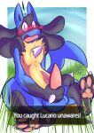  animal_genitalia animal_penis anthro balls blush canine_penis caught caught_masturbating embarrassed english_text erection fluxile genitals grass hand_on_penis lucario male masturbation nintendo outside penis plant pok&eacute;mon pok&eacute;mon_(species) shocked_expression sitting solo tail text video_games 