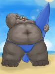  2022 anthro beach belly big_belly black_nose canid canine canis domestic_dog hi_res kemono male mammal moobs navel nipples obese obese_male outside overweight overweight_male seaside solo surfboard yuuh1212 