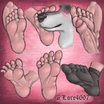  5_toes anthro black_clothing black_footwear black_socks blush bodily_fluids canid canine canis clothing domestic_dog feet foot_fetish foot_play footjob footwear foreskin genital_fluids genitals hi_res human humaniod_genitalia humanoid humanoid_feet humanoid_genitalia humanoid_penis husky lore4697 mammal nordic_sled_dog penis precum sex socks spitz toes 