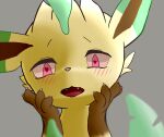  ambiguous_gender blush eeveelution feral grey_background hi_res icon leafeon looking_at_viewer nintendo open_mouth pink_eyes pok&eacute;mon pok&eacute;mon_(species) sharp_teeth simple_background solo sword-dance teeth video_games yellow_body 