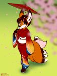  2022 anthro asian_clothing barefoot breasts canid canine cherry_blossom clothing east_asian_clothing feet female fox halcy0n hi_res holding_parasol inner_ear_fluff looking_up mammal multi_tail plant smile solo tuft 