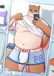  2022 absurd_res anthro belly big_belly blush brown_body bulge canid canine canis cellphone clothed clothing clothing_lift detailed_background domestic_dog hi_res humanoid_hands inside kemono male mammal mirror mirror_selfie moobs navel nipples overweight overweight_male phone selfie shirt shirt_lift smartphone solo tmnt_omawari3 topwear underwear 