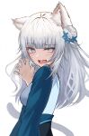  1girl absurdres animal_ear_fluff animal_ears bangs blue_eyes blue_nails blush breasts cat_ears chinese_clothes claw_pose commission commissioner_upload eyebrows_visible_through_hair fang flower hair_bun hair_flower hair_ornament hand_up highres indie_virtual_youtuber kei8987 long_hair long_sleeves looking_at_viewer looking_back medium_breasts nail_polish open_mouth sash shei_(vtuber) silver_hair simple_background skeb_commission solo tail tsurime virtual_youtuber white_background 